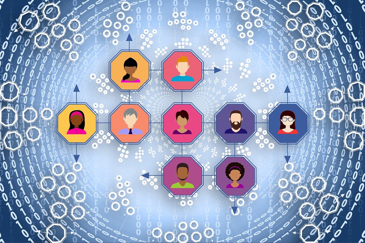 如何知道一个网站的收录情况，深入分析与实用技巧